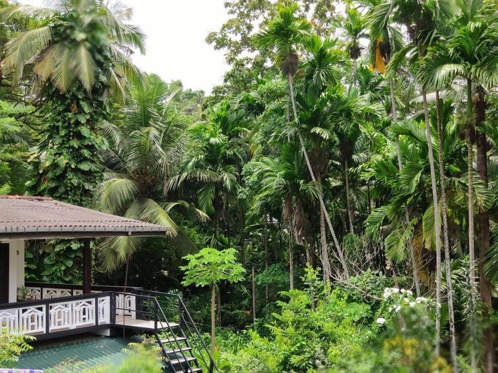 Green Turf Galle Exterior foto